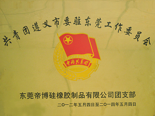 共青团驻东莞委员会